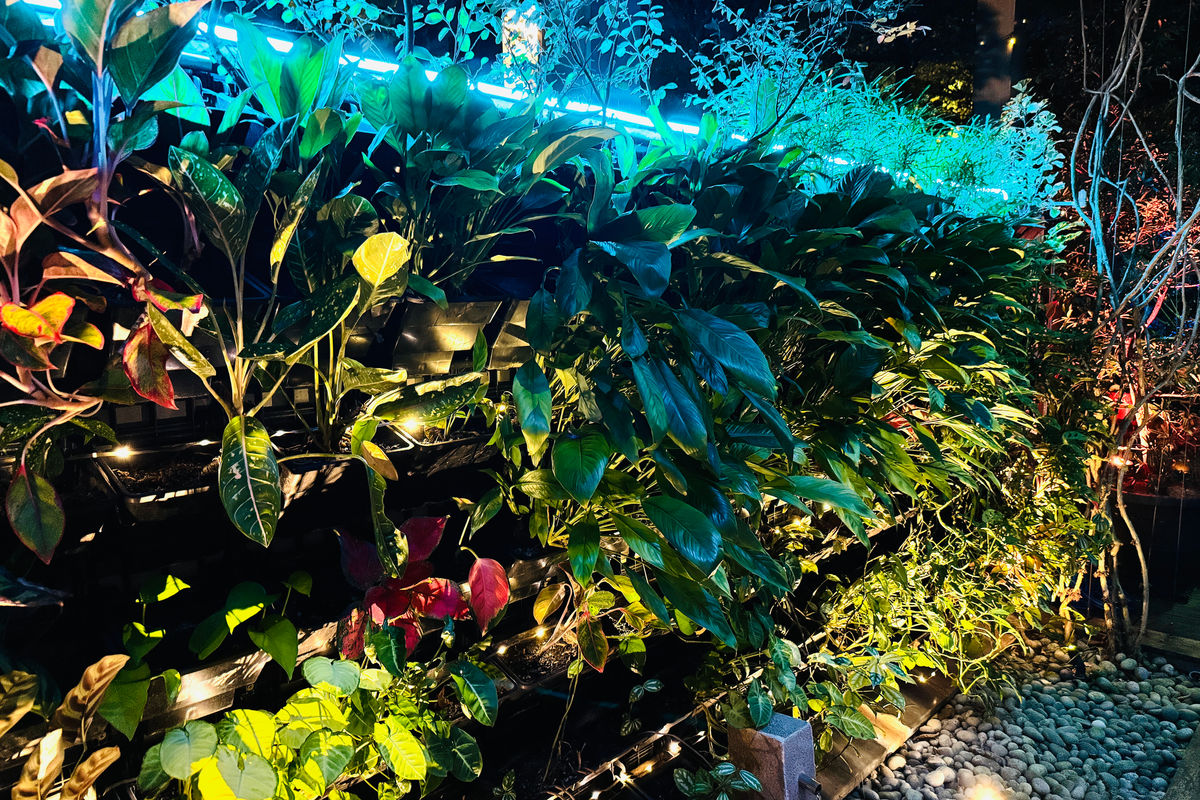 Lush garden illuminated with smart LED lighting at night
