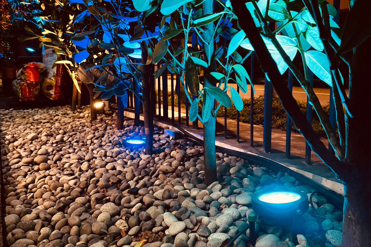 Ground-level uplights illuminating stones and garden trees